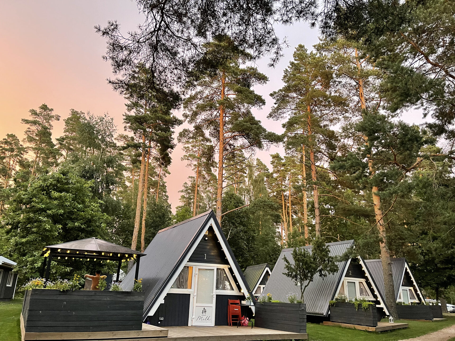 Camping Milk - Main photo